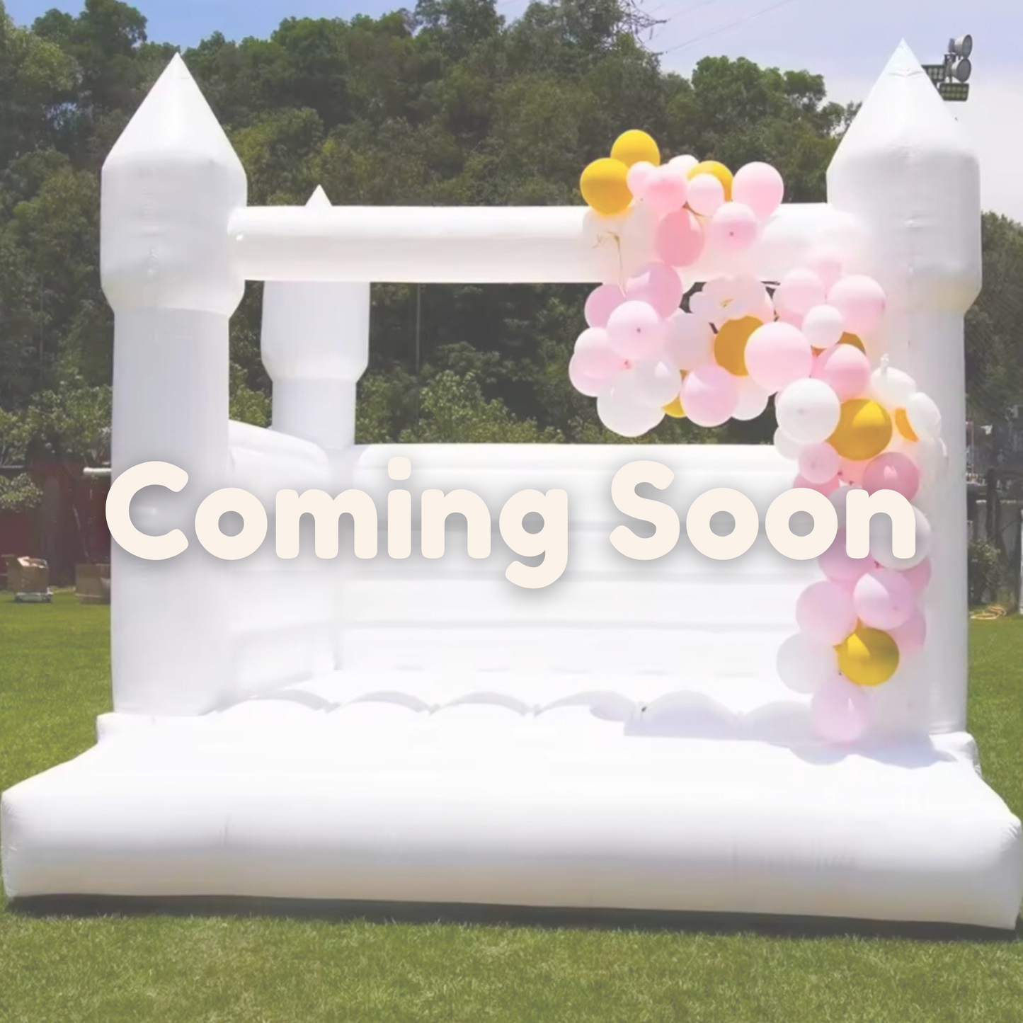 Large White Bouncy Castle
